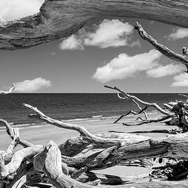Boneyard Beach, Big Talbot Island State Park - 6 by Kelley King