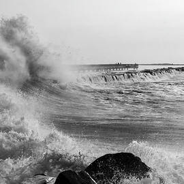 Tighten that Swimsuit  by Joe Schofield