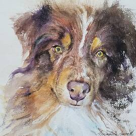 Boots by Amanda Amend