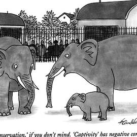 Born in Conservation by JB Handelsman