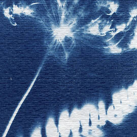 Botanic Silhouettes in Blue by Elizabeth Reich