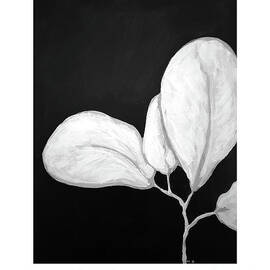 Botanical Series 003 by Lucia Stewart