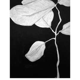 Botanical Series 004 by Lucia Stewart