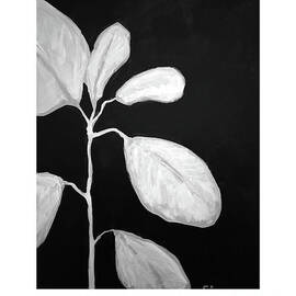 Botanical Series 005 by Lucia Stewart