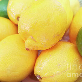 Bowl of citrus in a bright light by Tatiana Travelways