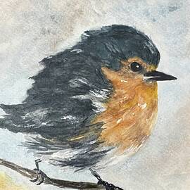 Boy, It's Cold by Judy Strickland