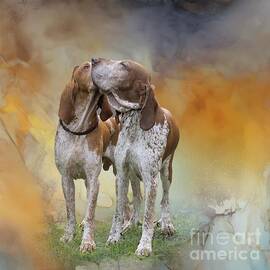 Braccos Italianos by Eva Lechner