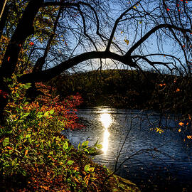 Brandywine Creek Afternoon Glow by Anthony Hightower