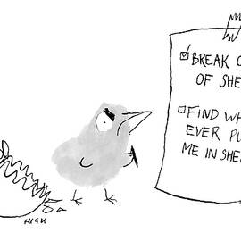 Break out of Shell by Roland High