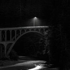 Bridging the Darkness by Kevin Schwalbe