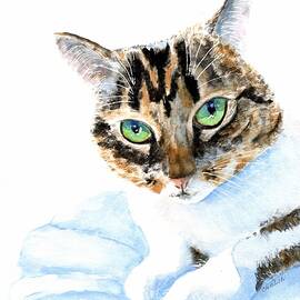 Brown Tabby with White Chest by Carlin Blahnik CarlinArtWatercolor