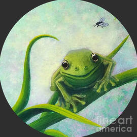 Bruce's Frog, Round by Sarah Irland