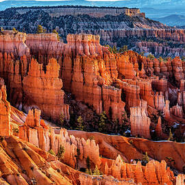 Bryce Canyon Utah by Tommy Farnsworth