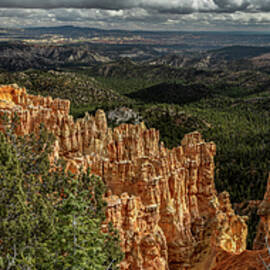 Bryce Farview Point Pano by Tim Lyden