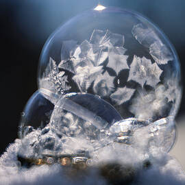 Bubble by Robert Niemeier