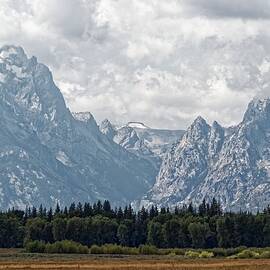 Buck and Wister - Grand Teton National Park by KJ Swan
