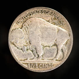 Buffalo Nickel Reverse by Steven Nelson