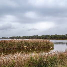Bulls Island by Cindy Robinson
