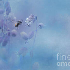 Bumblebee Hovering Near Delicate Flowers by Priska Wettstein