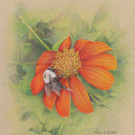 Bumblebee by Terry Edeker