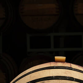 Bung by Mary Lee Dereske