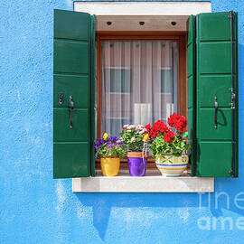 Burano flower pots, Italy by Neale And Judith Clark