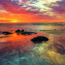 Burst of Color on Marginal Way by Penny Polakoff