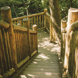 Bushkill Falls - Stairs by Jason Fink