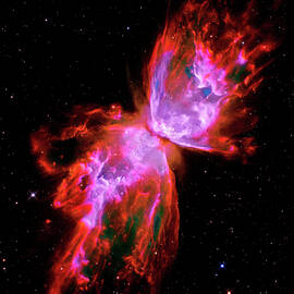 Butterfly Nebula in Vivid Colors by Stefano Senise