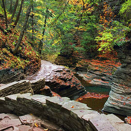 Buttermilk Falls Gorge by Jessica Jenney