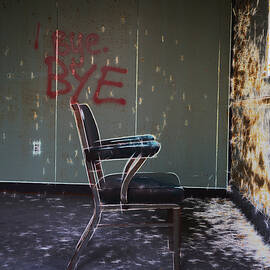 Bye Bye by Richard Reeve