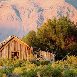 Cabin and Skedaddles by Mike Lee