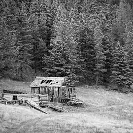 Cabin in the Valles Caldera National Preserve in B W by Mary Lee Dereske