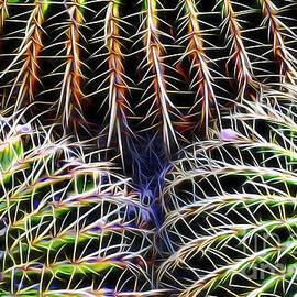 Cacti Digital Paint by William Gunn