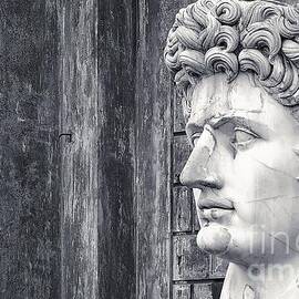 Caesar Augustus at Vatican Museums 3 by Stefano Senise