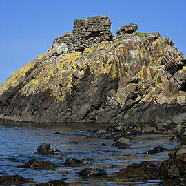 Cairncastle Up Close by Steven Nelson