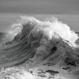California Churning by Joe Schofield