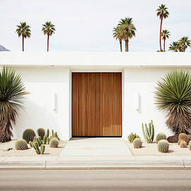 California Dreaming - Mid-Century Modern House by Philippe HUGONNARD