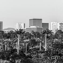 California Newport Beach Skyline Black and White Photo by Paul Velgos