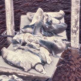 California Sea Lions sleepin on the dock by Bruce Block