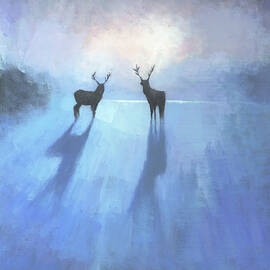 Call of the Arctic by Steve Mitchell