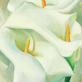 Calla lilies - Modernist flower painting by Georgia O'Keeffe by Georgia O'Keeffe