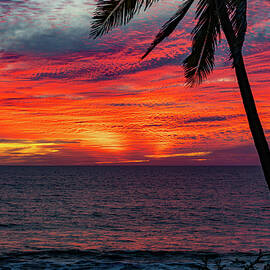Calming Sunset over Mazatlan by Tommy Farnsworth