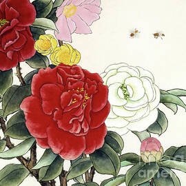 Red and White Camellias by Ren Yu