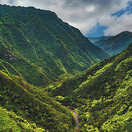 Canyon on Kauai, Hawaii by Abbie Matthews