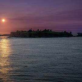 Cape Flattery Number 6 by Matt Halvorson