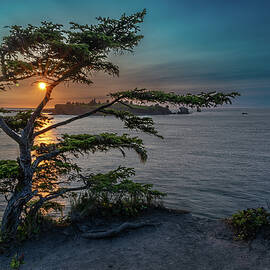 Cape Flattery Sunset by Matt Halvorson