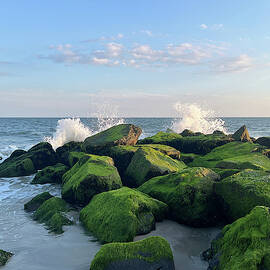 Cape May Waves 1 by Richard Reeve