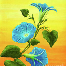 Capturing the Sun by Sarah Irland