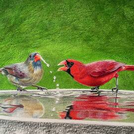 Cardinals at a Reflective Birdbath by Marlene Little